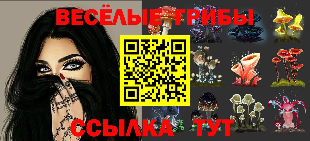 Псилоцибиновые грибы Psilocybe  Вход с VPN  Волжский 