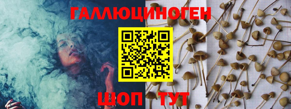Псилоцибиновые грибы прущие грибы Волжский